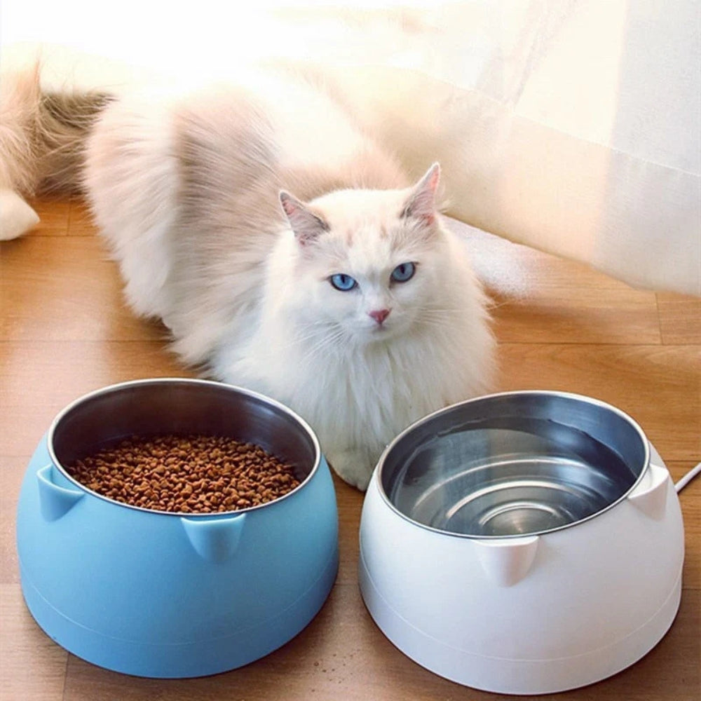 Stainless Steel 15° Tilted Cat Bowl (Non-Slip Base)