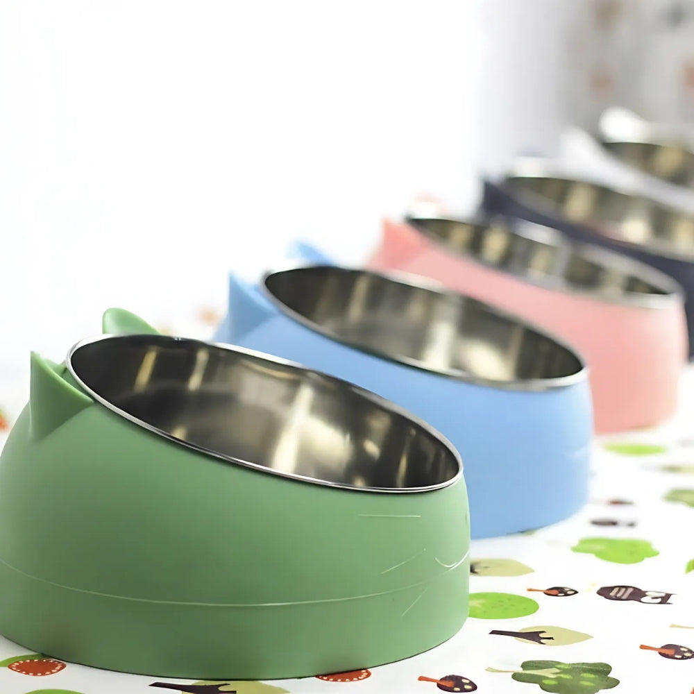 Stainless Steel 15° Tilted Cat Bowl (Non-Slip Base)