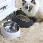 Stainless Steel 15° Tilted Cat Bowl (Non-Slip Base)
