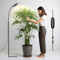 Standing Grow Light Full-Spectrum LED Timer & Adjustable Height