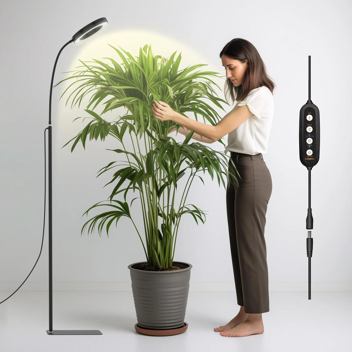 Standing Grow Light Full-Spectrum LED Timer & Adjustable Height