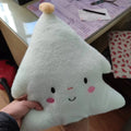 Star Pillow Embroidered Face Fleece Cover