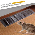 Sticky Rodent Pad Extra-Large Non-Toxic Adhesive 5-Pack