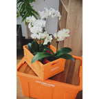 Storage Crate Foldable & Stackable A4 Size