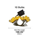 String Lights Clear Bulbs LED Warm White