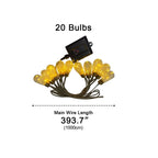 String Lights Clear Bulbs LED Warm White