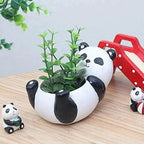 Succulent Planter Panda-Shaped Compact & Lightweight