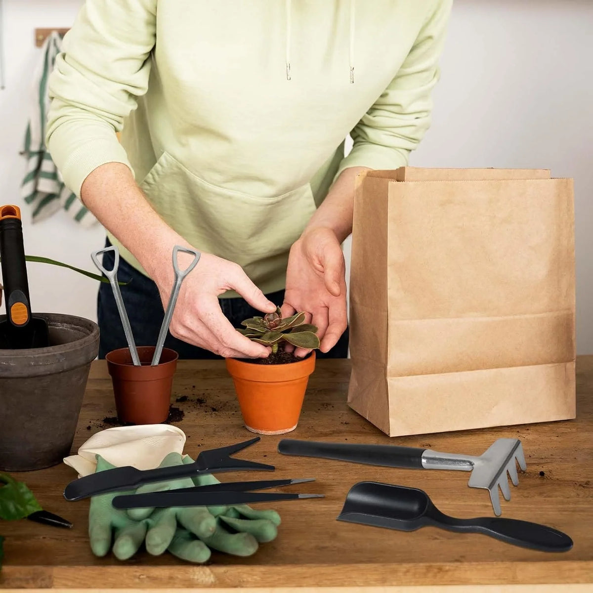 Succulent Tool Set 12-Piece Stainless Steel Heads & Linen Bag