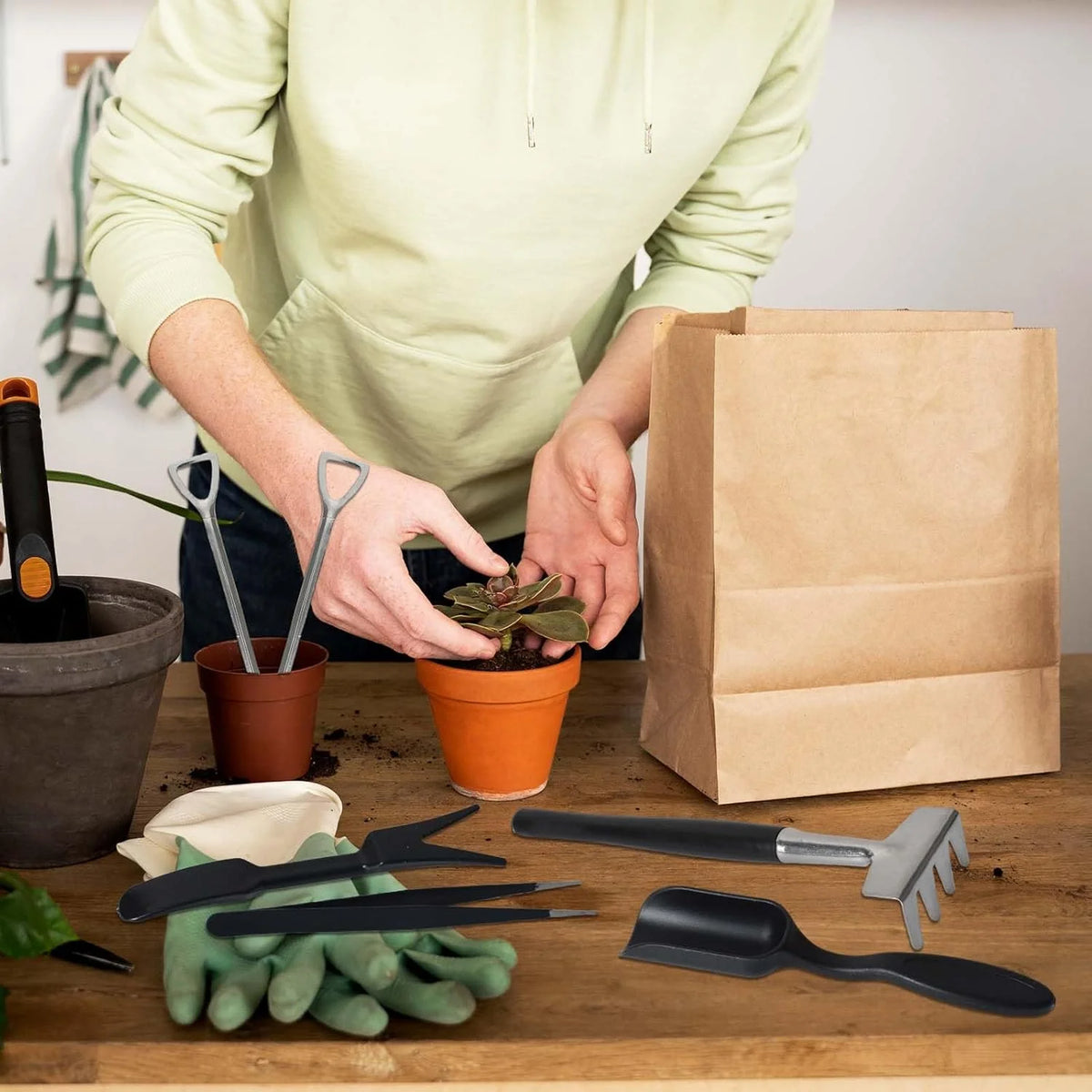Succulent Tool Set 12-Piece Stainless Steel Linen Bag