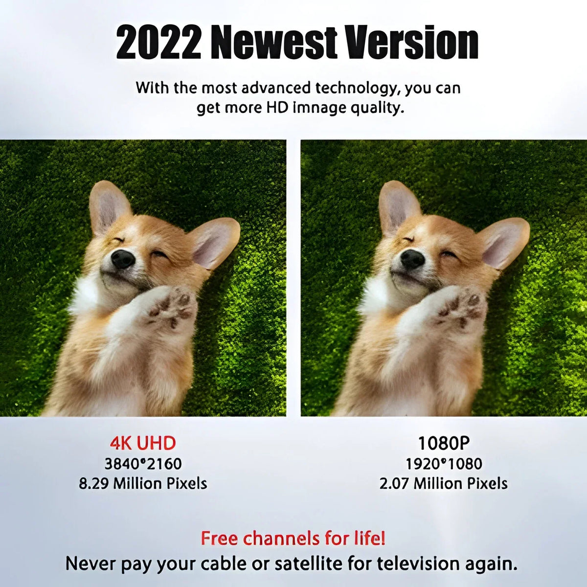 TV Antenna Indoor/Outdoor Long-Range High-Gain