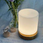 Table Lamp 360° Ambient Glass Shade USB Powered