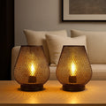 Table Lamp Battery-Powered Warm LED Metal Wireframe