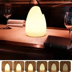 Table Lamp Cordless Waterproof Touch Sensor & Remote