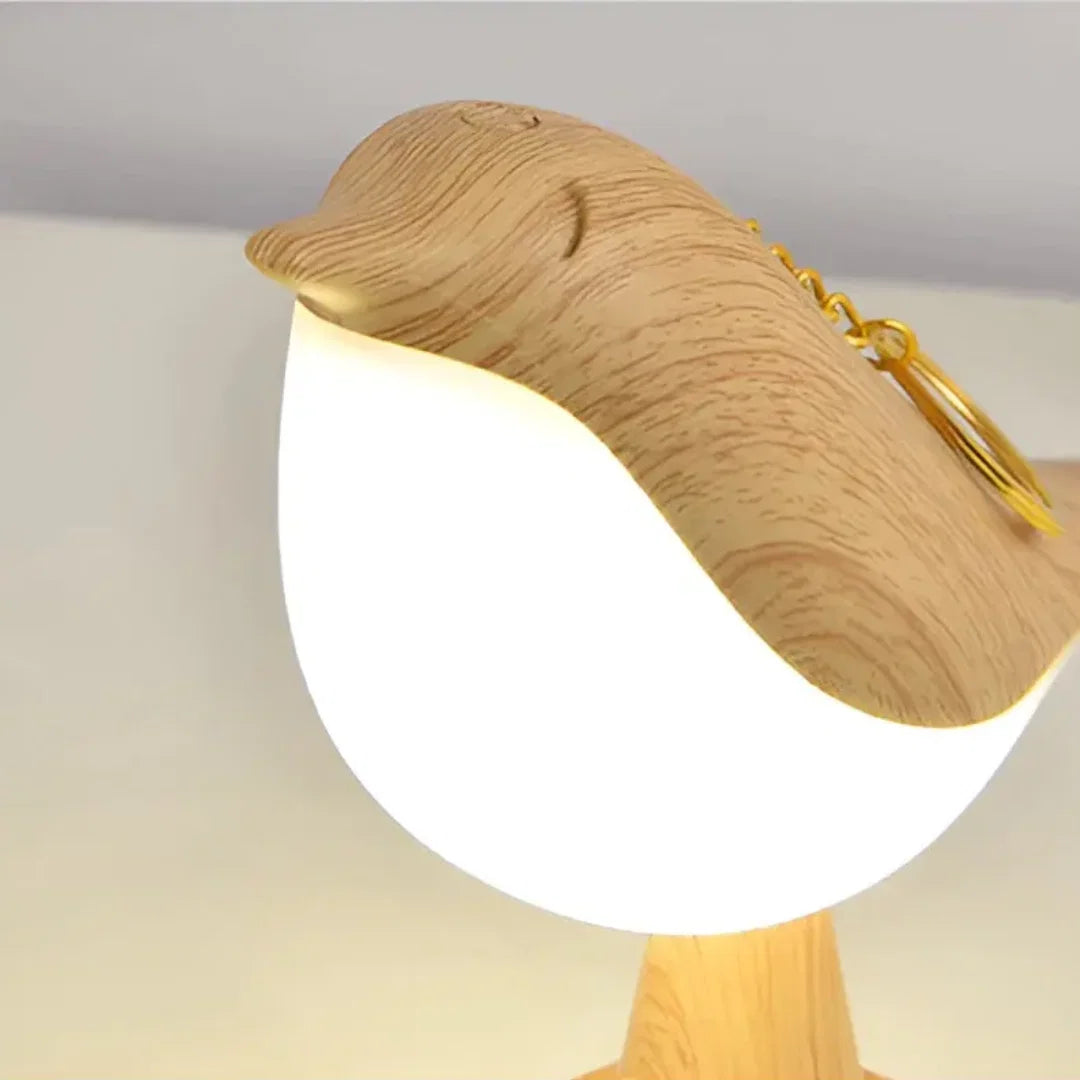 Table Lamp Touch & Color-Changing Rechargeable