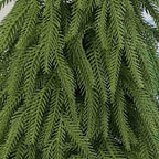 Tabletop Christmas Tree Lifelike PE Three Sizes