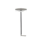 Tall Stainless Steel Warm-White LED Post Light