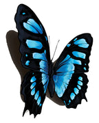 Temporary Tattoo 3D Realistic Water-Activated