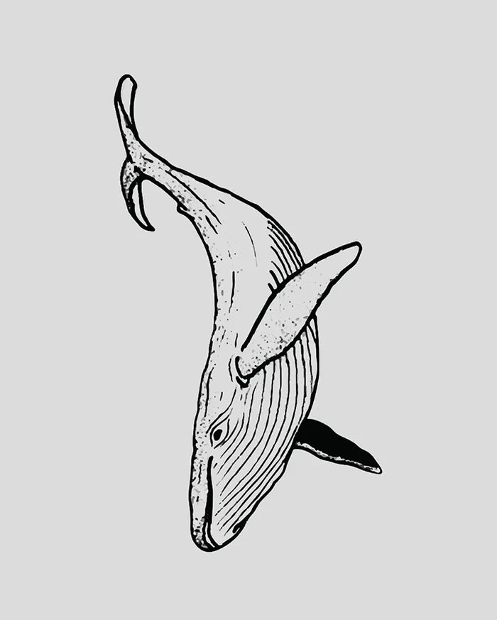 Temporary Tattoo Whale Pigment-Based 14-Day Water-Resistant