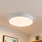 Three-Color Dimming LED Flush Mount Ceiling Light (30cm)