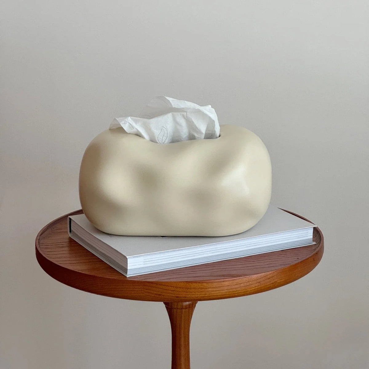 Tissue Holder Sculptural Cloud Ceramic