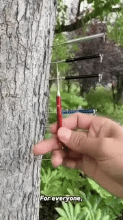 Toothpick Telescopic Metal Keychain Case