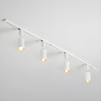 Track Light Integrated LED 30° Beam Aluminum