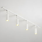 Track Light Integrated LED 30° Beam Aluminum