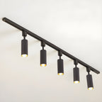 Track Light Integrated LED 30° Beam Aluminum
