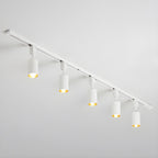 Track Light Integrated LED 30° Beam Aluminum