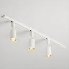 Track Light Integrated LED 30° Beam Aluminum