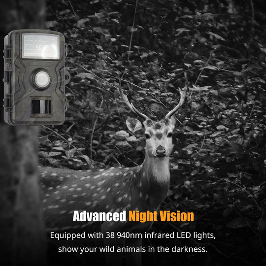 Trail Camera 1080P Night Vision & Motion-Activated
