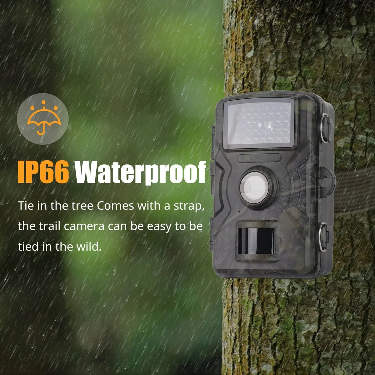 Trail Camera 1080P Night Vision & Motion-Activated