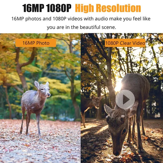 Trail Camera 1080P Night Vision & Motion-Activated