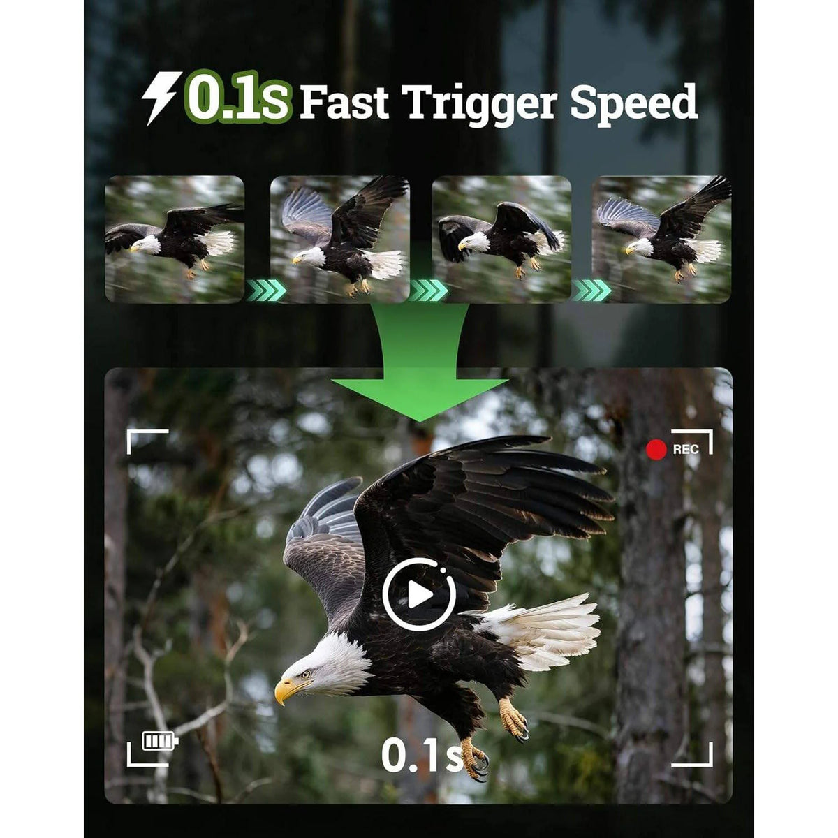 Trail Camera 4K Ultra HD Solar & WiFi