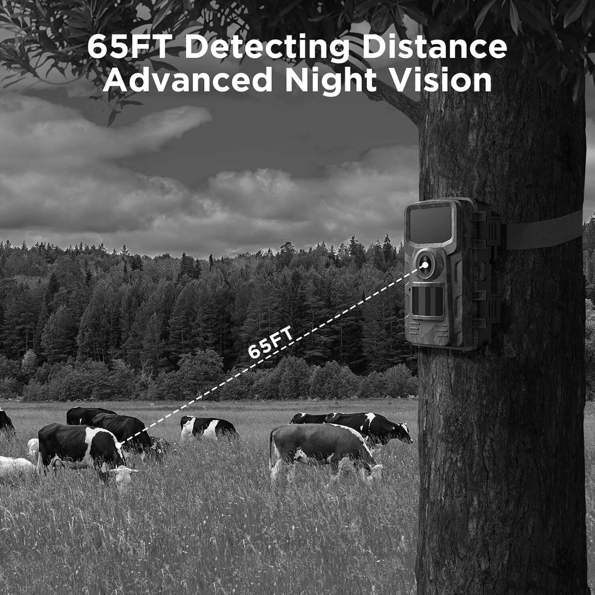 Trail Camera Infrared Night Vision 16MP Weatherproof