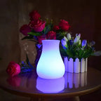 USB Rechargeable Remote-Controlled Color-Changing Vase