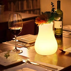 USB Rechargeable Remote-Controlled Color-Changing Vase