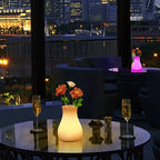 USB Rechargeable Remote-Controlled Color-Changing Vase