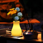 USB Rechargeable Remote-Controlled Color-Changing Vase