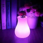 USB Rechargeable Remote-Controlled Color-Changing Vase