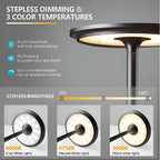 USB-Rechargeable Touch-Dimmable LED Aluminum Desk Lamp