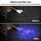 UV Flashlight Pet Stain Detection Rechargeable Adjustable Zoom