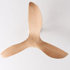 Ultra-Quiet DC Motor & Reversible Blades Ceiling Fan (Flush Mount)
