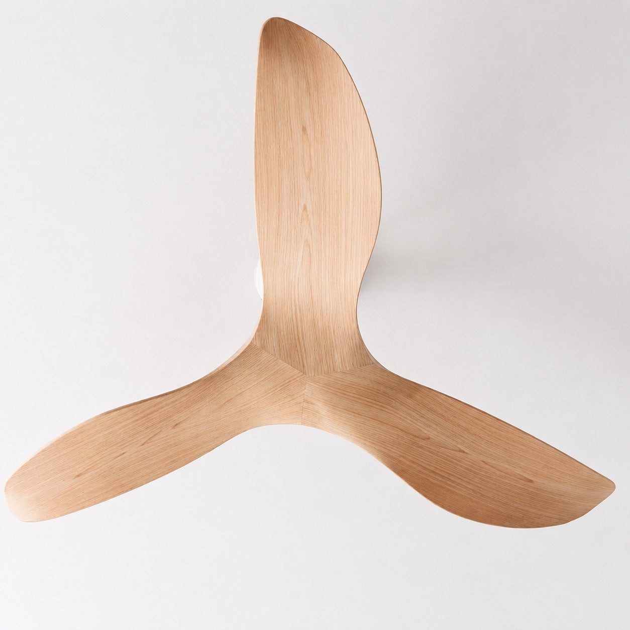 Ultra-Quiet DC Motor & Reversible Blades Ceiling Fan (Flush Mount)