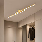 Ultra-Slim Integrated LED Flush Mount Ceiling Light