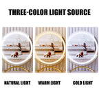 Vanity Mirror Dimmable LED 3 Color Modes Rechargeable