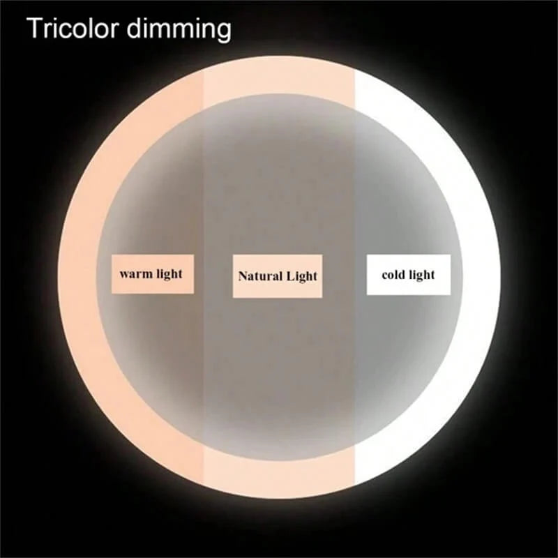 Vanity Mirror Dimmable LED 3 Color Modes Rechargeable
