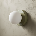 Wall & Ceiling Light Frosted Glass Globe Painted Iron
