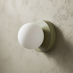 Wall & Ceiling Light Frosted Glass Globe Painted Iron