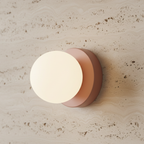 Wall & Ceiling Light Frosted Glass Globe Painted Iron